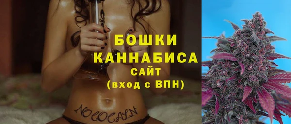 бошки Ладушкин