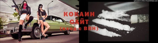 бошки Ладушкин