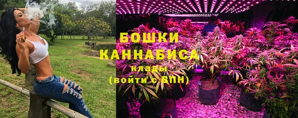 дмт Лабытнанги