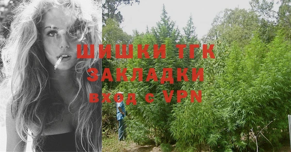 дмт Лагань