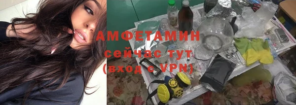 бошки Ладушкин
