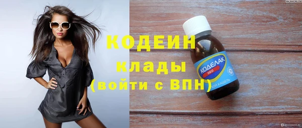 дмт Лабытнанги