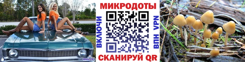 Купить закладки  Новый Оскол  Псилоцибиновые грибы Cubensis 